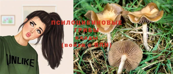 спайс Белоозёрский
