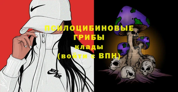прущая мука Белокуриха